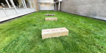 real_hurdle_three_grassy_ally_v2